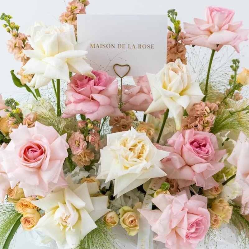 Shop Secondary Image