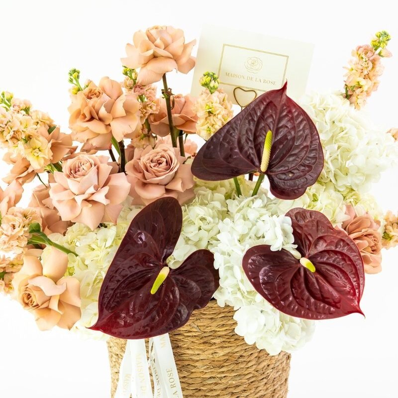 Shop Secondary Image