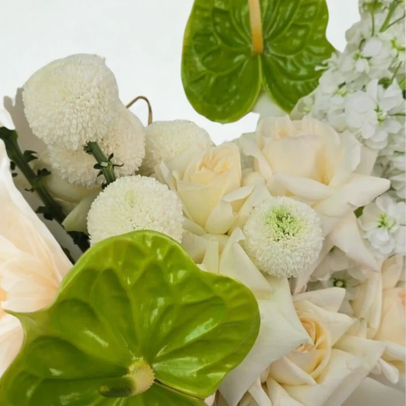 Shop Secondary Image