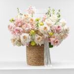 Suggest Product Thumbnail